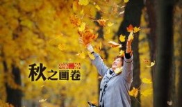 秋日天空在线观看,云端漫步，尽享金秋美景