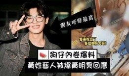 刘大锤爆料朱志鑫视频在线观看,独家在线观看解析