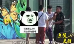 搞事视频在线观看,趣味横生，笑料百出的在线观看盛宴